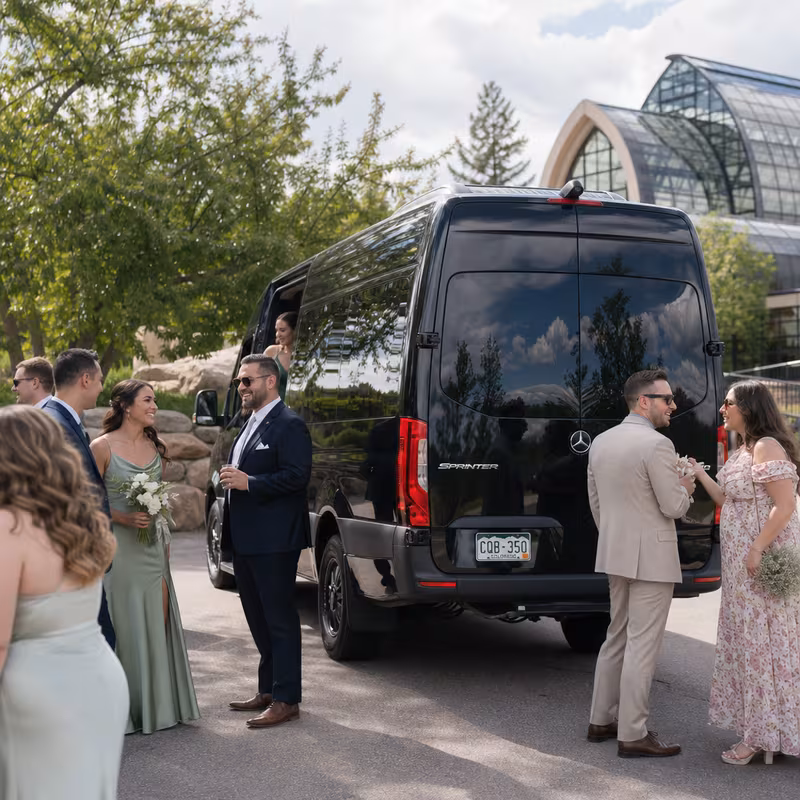Wedding transportation