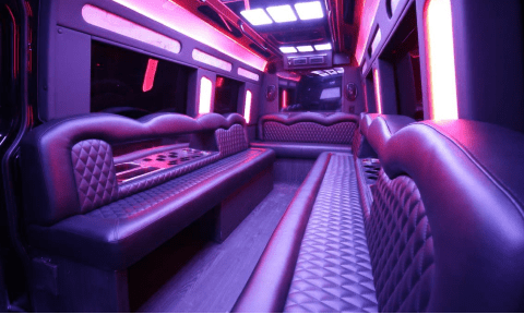 Colorado Springs 14 Passenger Sprinter Bus Interior