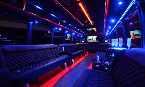 Thornton 30 Passenger Party Bus Black Interior
